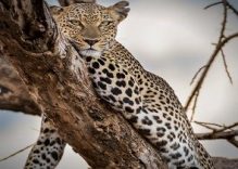 Lake Manyara National Park