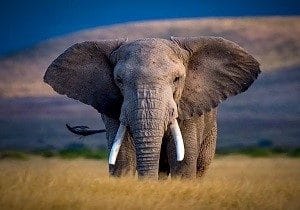 kenia tour