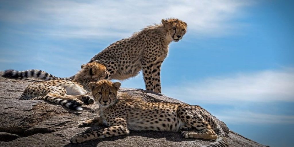 Serengeti National Park