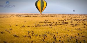 hot air balloon safaris