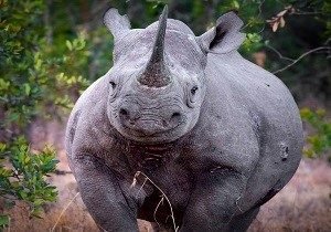kenya holidays
