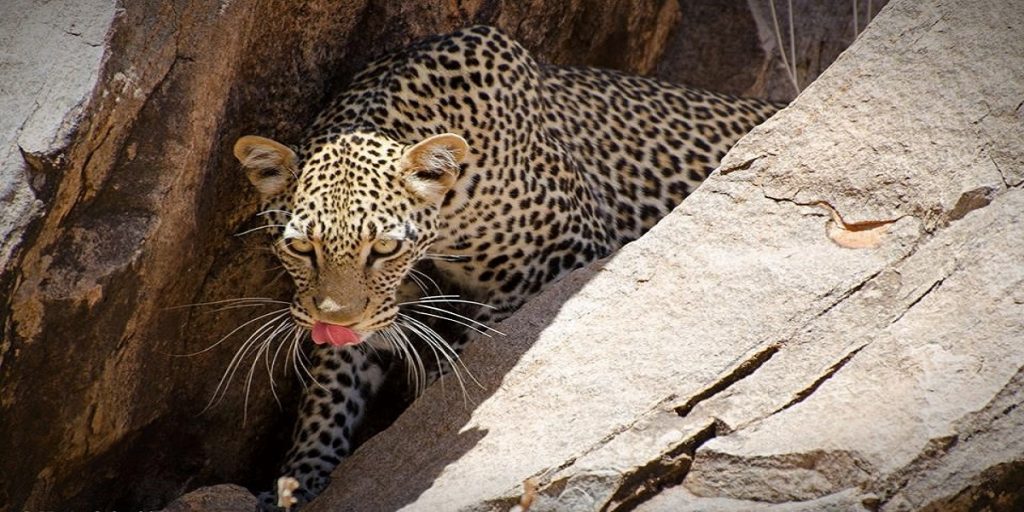 Tsavo East National Park