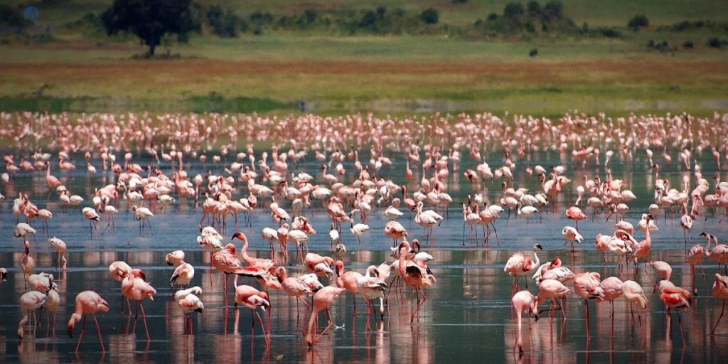 Ngorongoro Conservation Area