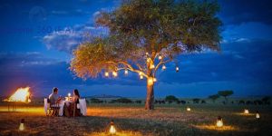 romantic honeymoon bush dinner kenya holiday