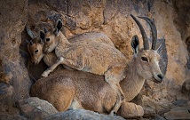 Lakes Kenya Tours